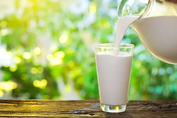 Чем молоко полезно для организма и здоровья
