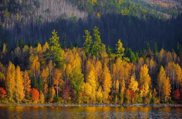 Золотая осень в фотографиях из разных уголков России