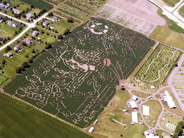 Кукурузный лабиринт на ферме Ричардсон (Спринг Грув, Иллинойс).