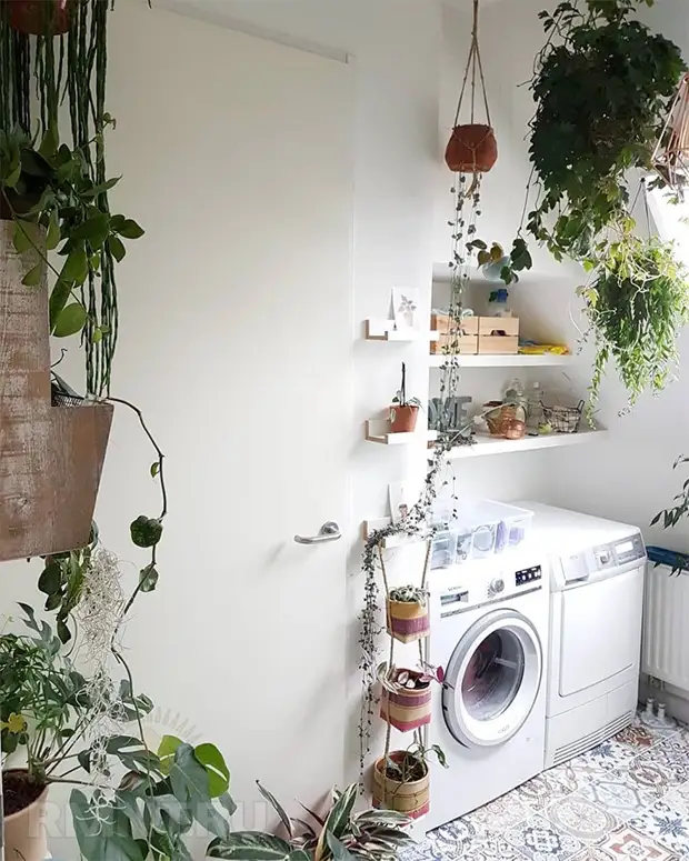 Нетривиальные способы разместить комнатные растения