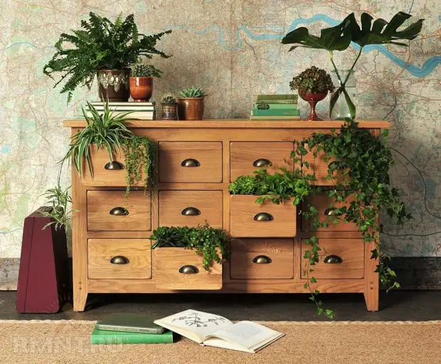 Нетривиальные способы разместить комнатные растения