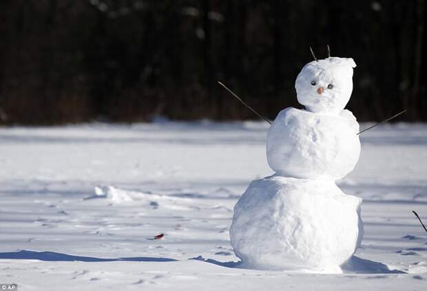 Снеговик в парке в Prospect Heights, штат Иллинойс холода в США, чикаго