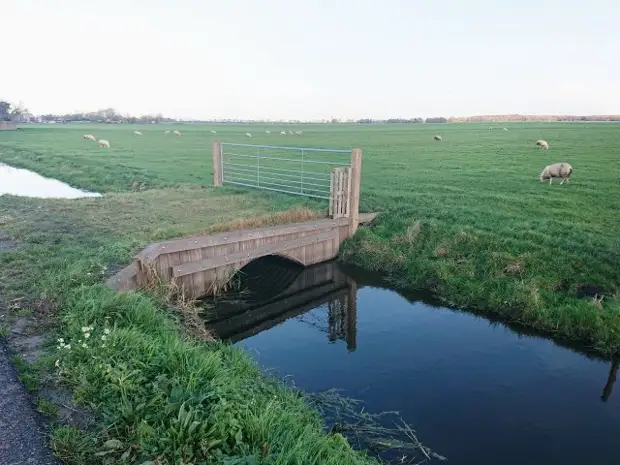 Немного об экономии - здоровой и не совсем Немного об экономии - здоровой и не совсем