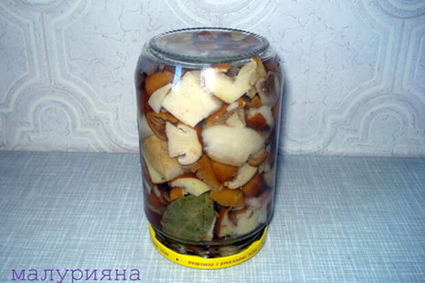 Маринованные маслята