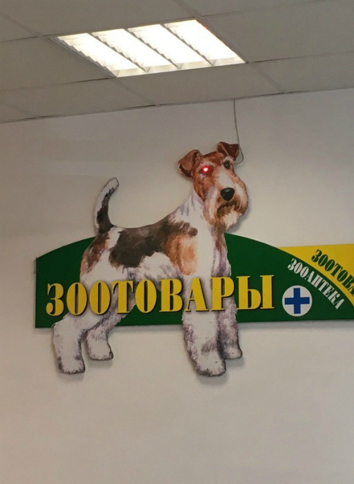 Зловещий взгляд.