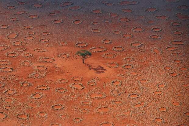 Ведьмины круги в пустыне Намиб: загадка, которой пока нет объяснения