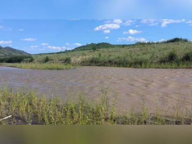 Жители Могочи вновь сообщили о загрязнении реки Желтуга