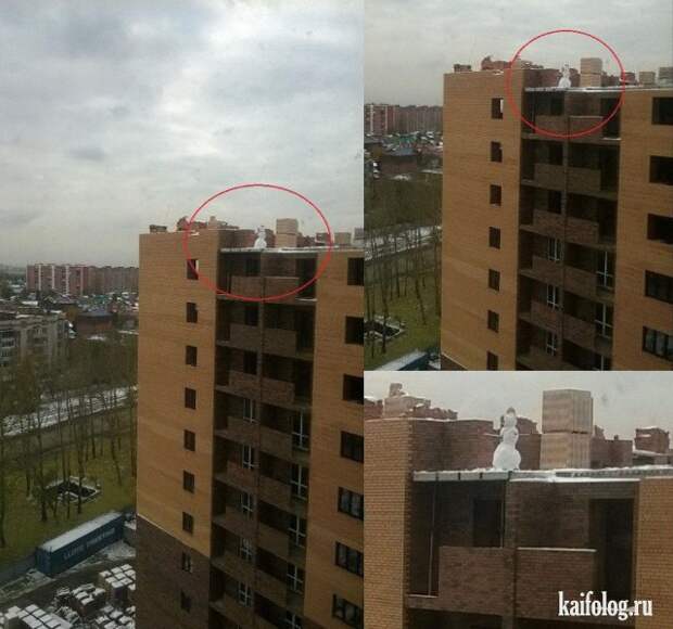 Русские приколы и маразмы (50 фото)