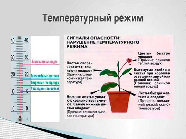 Температурный режим
