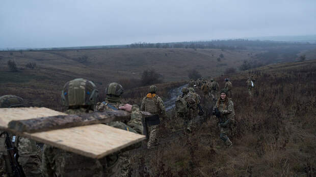 ТАСС: боевики ВСУ отступили с позиций без единого выстрела в лесополосе