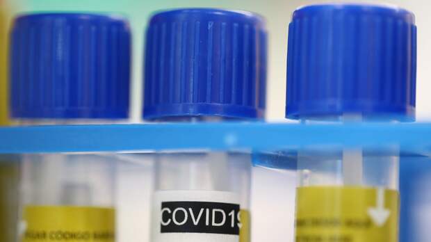 Число выявленных случаев COVID-19 в Молдавии достигло 252 798