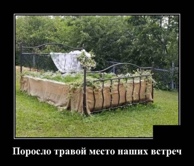 Демотиваторы (30 фото)