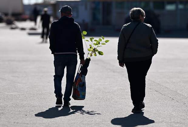 Дачникам назвали признаки фейковых растений на маркетплейсах