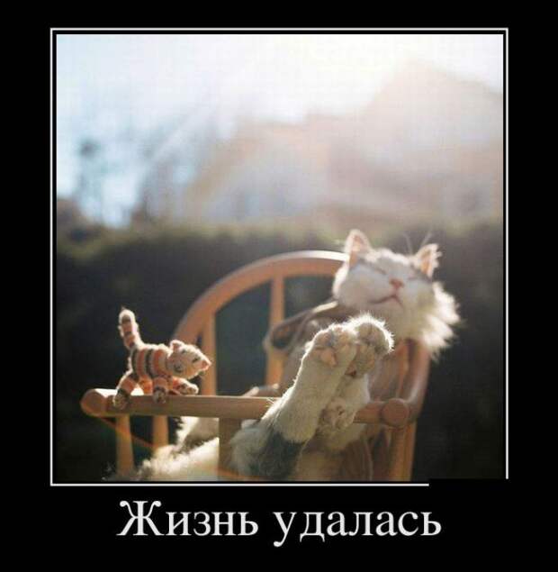 Демотиваторы (20 фото)