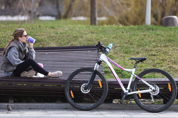Синоптик Леус: гололедица и мокрый снег ожидаются в Москве