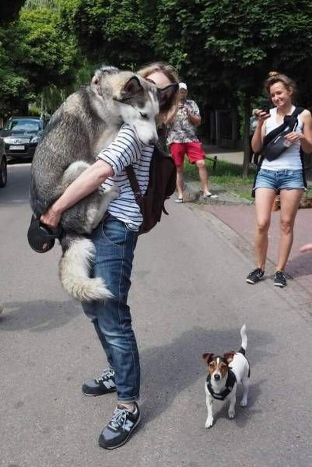 Прикольные картинки