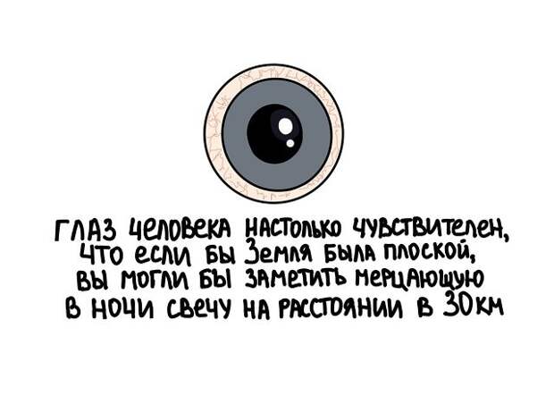 Подборка коротких интересных фактов на все случаи жизни