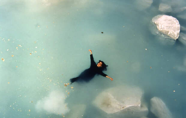 Картинки по запросу shirin neshat logic of the birds