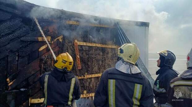 Фото: ГУ МЧС России по Алтайскому краю