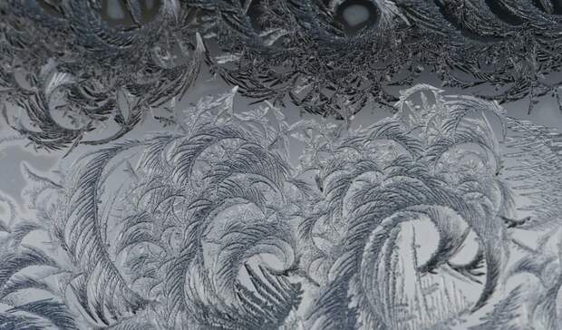 Четверг в Карелии: рабочая суббота, ковид-паника на севере, жалоба Путину на вырубки