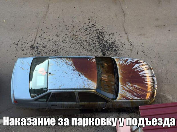 Подборка прикольных фото №1480 (109 фото)