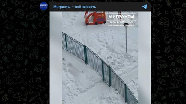 Мусор сдал - мусор принял: в Химках мигранты-дворники внедрили схему псевдоуборки