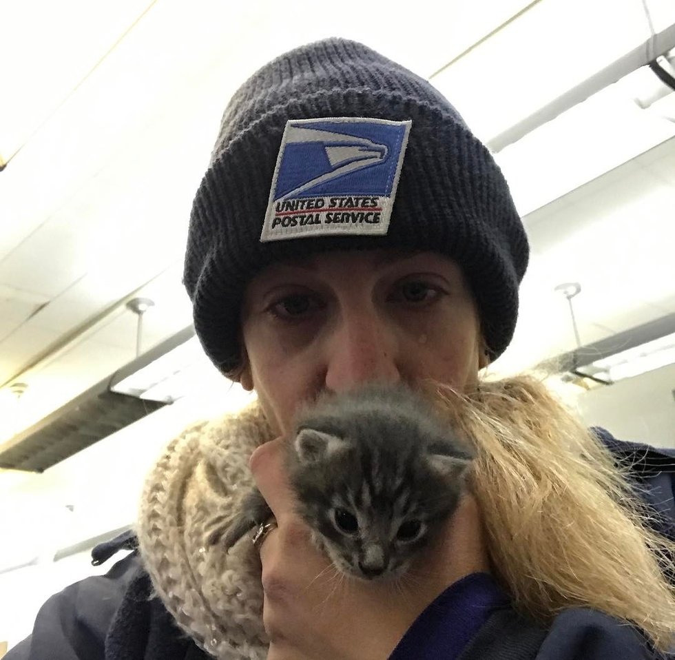 помощь котятам девушка с котенком на руках