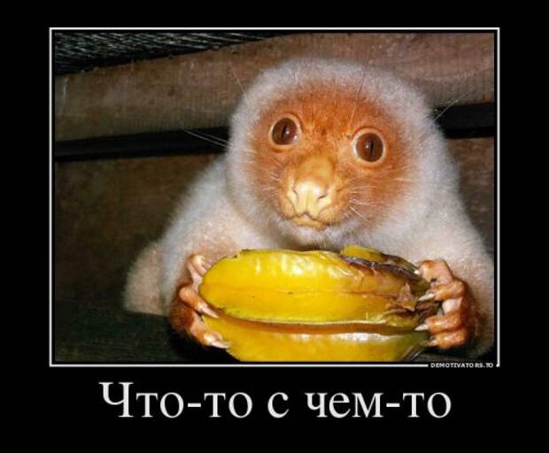 Демотиваторы-приколы для настроения (13 шт)