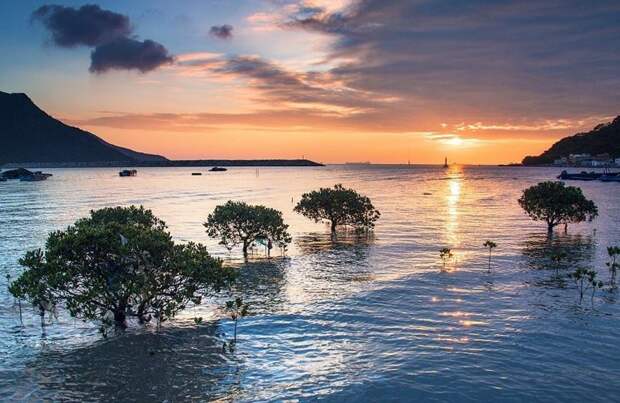 Танец солнечных лучей на водной глади Южно-Китайского моря у берегов Тай О КНР, гонконг, мир, природа, проект, снимок, фотография