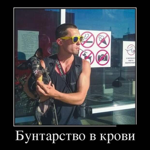 Позитивные демотиваторы для веселья (12 фото) Позитивные демотиваторы для веселья (12 фото)