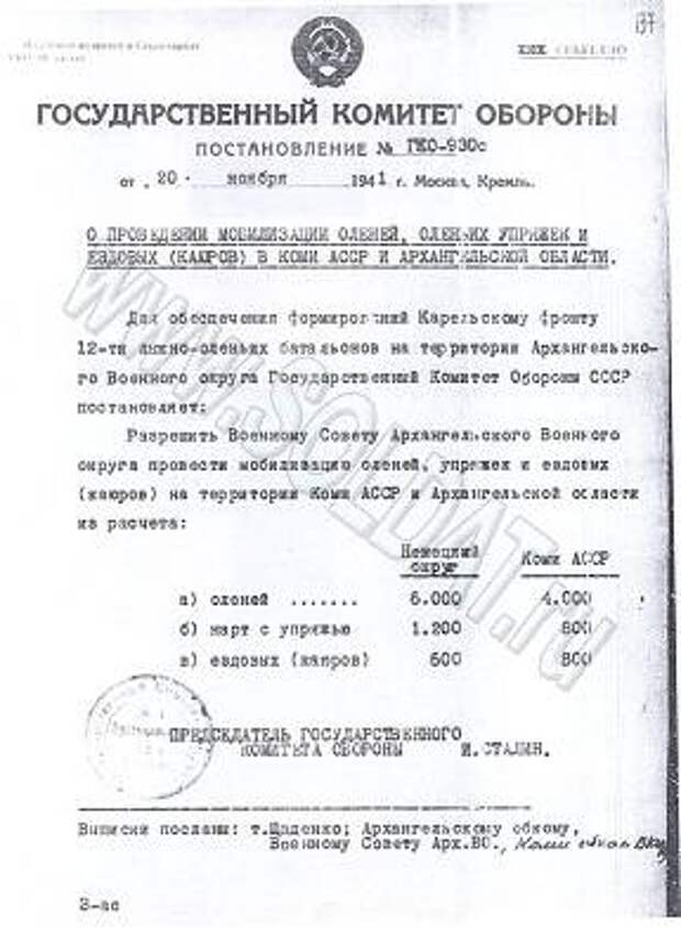 Под северным сиянием