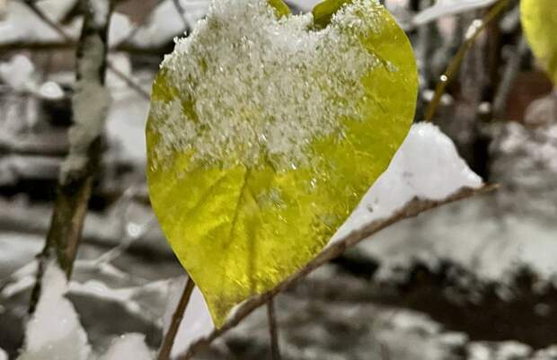 В Тульской области ожидаются сильные осадки и ветер до 20 м/с 27 апреля