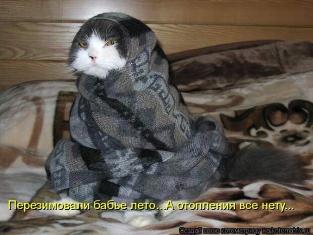 Лучшие котоматрицы недели Лучшие котоматрицы недели