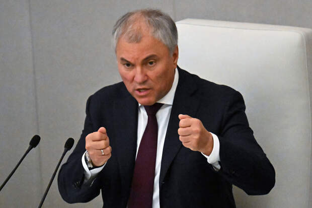 Володин раскритиковал Клишаса за трактовку норм Конституции