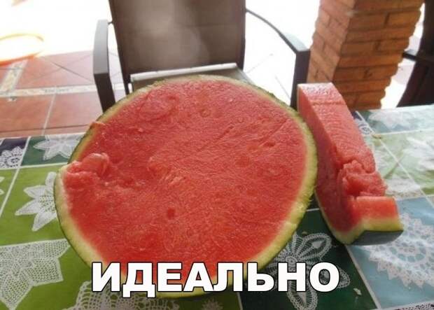 Смешные картинки с надписями прикол, юмор