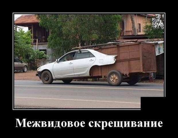 Демотиваторы (30 фото)