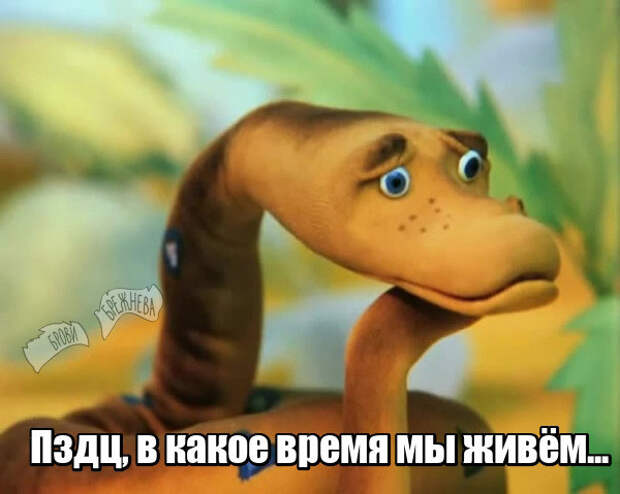 Pегистратор сэкономил владельцу 8-15 лет жизни обвинение, честь, школьницы