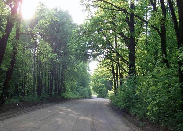 Тайная страсть отставного майора