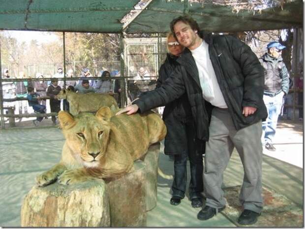 extreme-zoo_14_(funnypagenet.com)