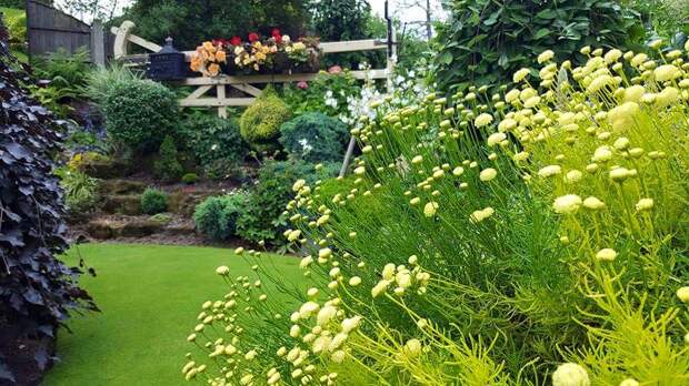 Открытый сад Стюарта Гриндл