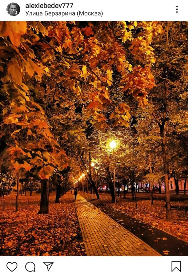 Фото дня: в сквере на Берзарина фонари прячутся в кленах