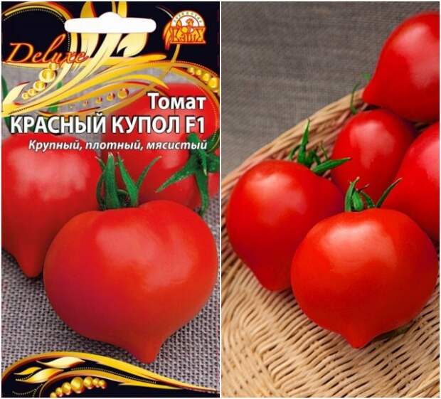 томат красный купол