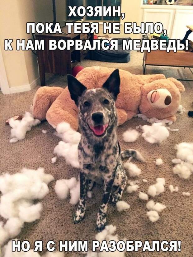 Веселые картинки с надписями на выходные (10 фото)