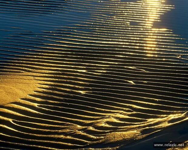 Andris_Eglitis_035 Andris_Eglitis_035