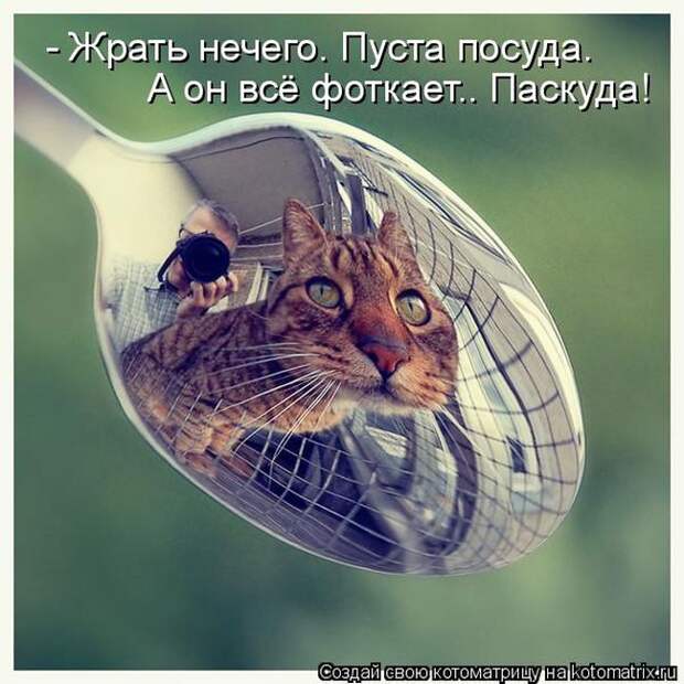 1464560120_43