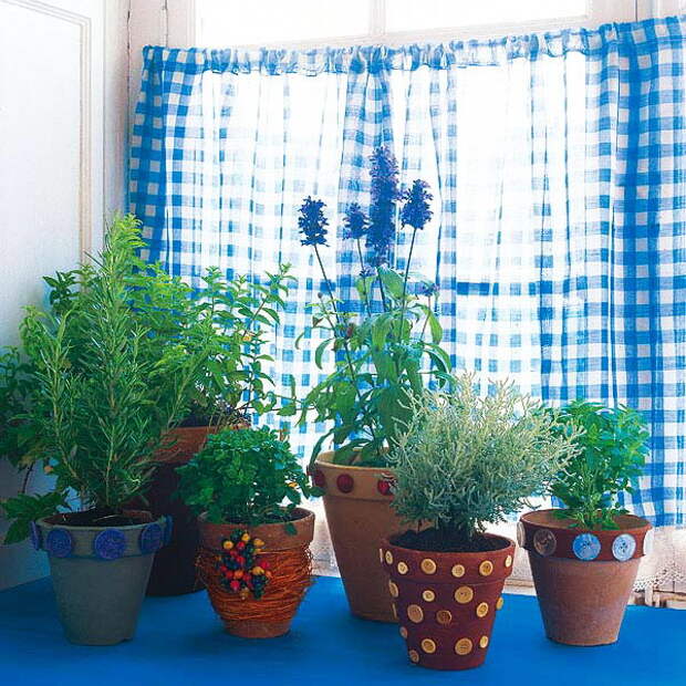 home-plants-creative-ideas5-12.jpg