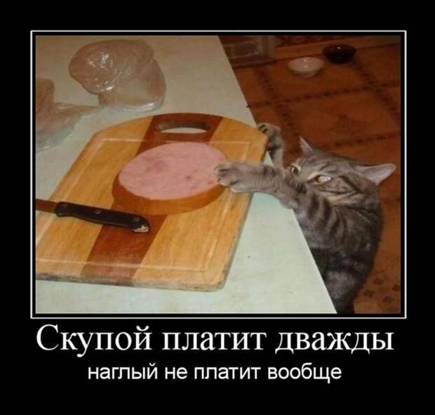 Демотиваторы (30 фото)