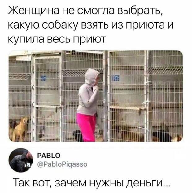 Смешные картинки с подписями (20 картинок)