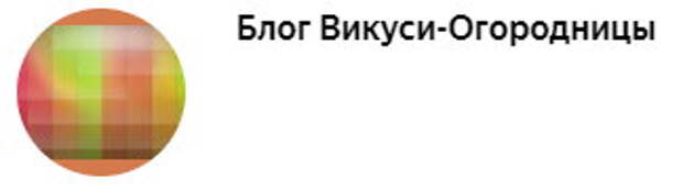 Ответ белоруски Петербургскому математику на его статью "Я белорус. И я не знаю, чью сторону занять"