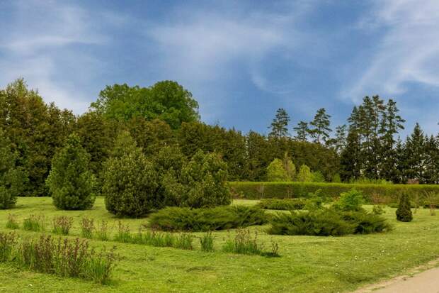 Более 70 гектаров городских парков Дзержинска готовят к летнему сезону